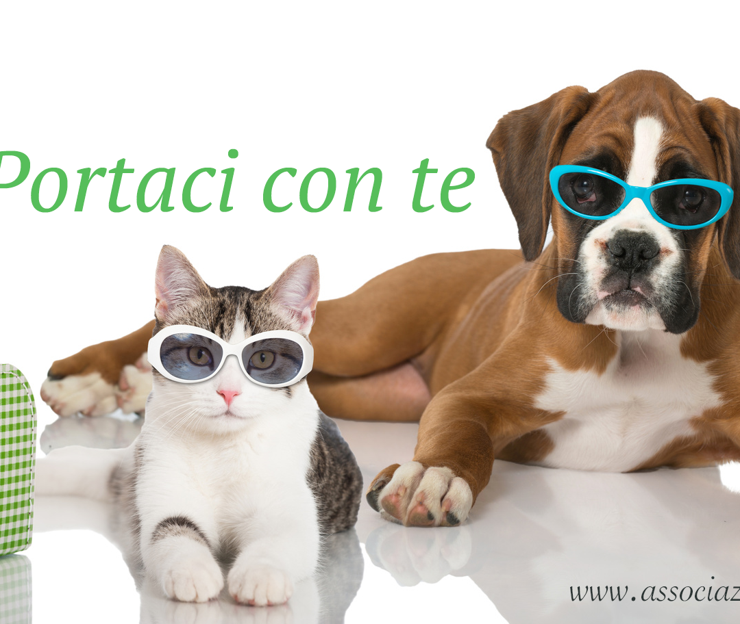 Portaci con te campagna contro abbandono degli animali nel periodo estivo